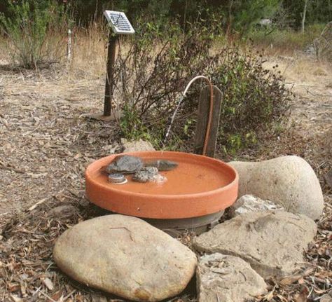 DIY Solar-Powered Fountain Birdbath - petdiys.com Diy Solar Water Fountain, Hummingbird Bath, Solar Fountain Ideas, Outdoor Cottage, Diy Solar Fountain, Solar Bird Bath, Bird Fountain, Solar Powered Fountain, Diy Hanging Planter