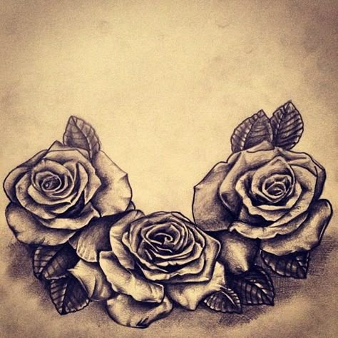 I'm going to get this; three roses representing me and my brothers Tattoos Pinterest, Nice Tattoos, Black Rose Tattoos, Tattoo Flowers, Stomach Tattoos, Temp Tattoo, Rose Tattoo Design, My Quote, 1 Tattoo