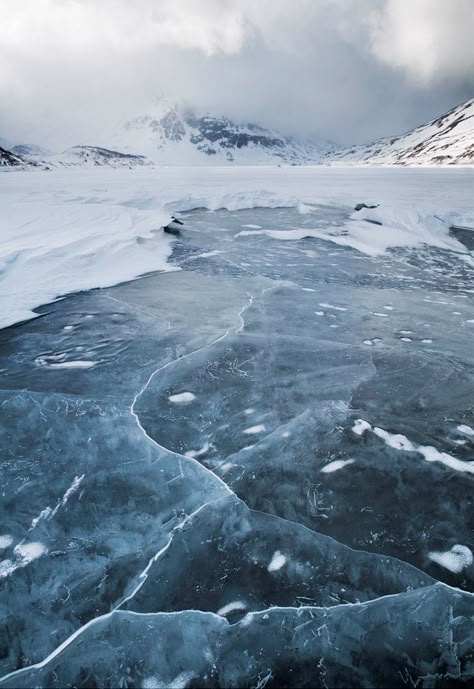 Love the colors Icy Lake, Suki Avatar, Ice Planet Barbarians, Ice Planet, A Well Traveled Woman, Water Tribe, Viria, Frozen Lake, Six Of Crows