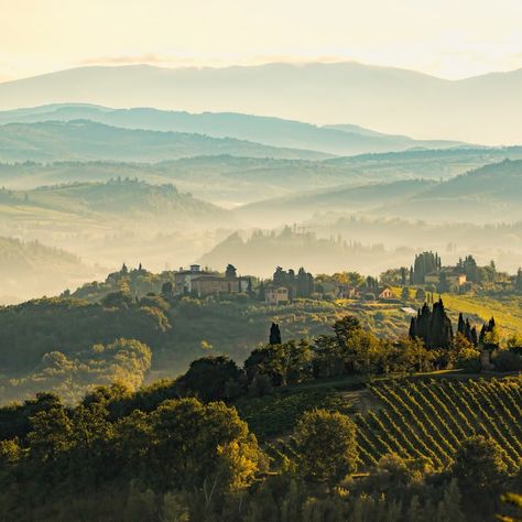 Kawaii Reference, Tuscany Vineyard, Italy Landscape, Perfect Road Trip, Italian Village, Incredible Art, Royal Blood, Italian Landscape, Scenic Roads