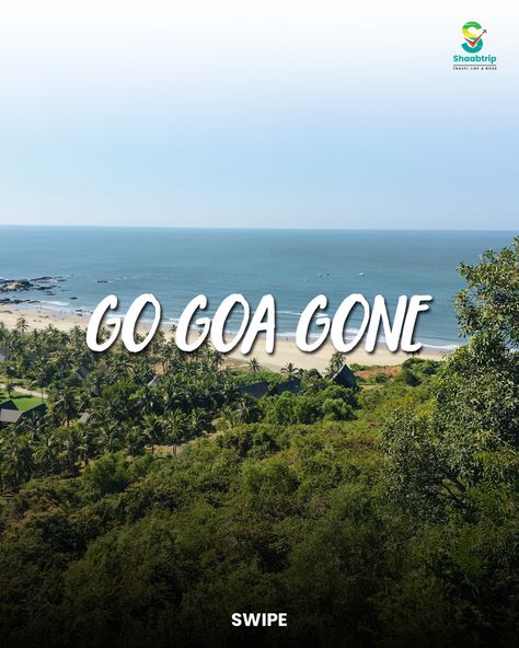 Goa Calling, Go Goa Gone, Website Link, Plan Your Trip, Goa, Travel Quotes, Link In Bio, Neon Signs, My Saves