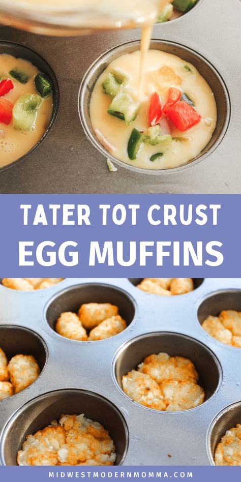 Egg Muffins with Tater Tots Breakfast Muffins With Tater Tots, Large Egg Muffin Cups, Egg Tater Tot Muffins, Tater Tot Egg Cups, Tater Tot Egg Bites, Egg Bites Muffin Tins With Hashbrowns, Egg Baked In Muffin Tin, Mini Muffin Quiche Recipes, Tater Tot Egg Muffins