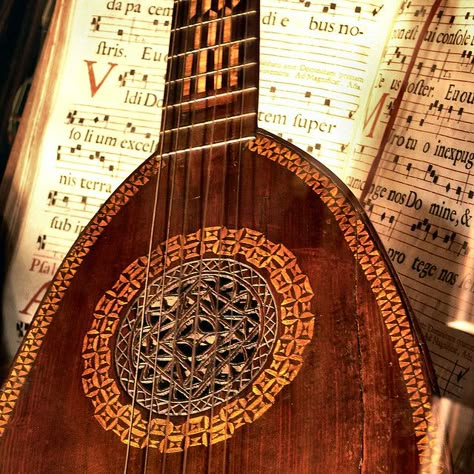 Lute Aesthetic, Medieval Lute, Tiefling Bard, Bard College, Captive Prince, Yennefer Of Vengerberg, Baldur's Gate, Music Aesthetic, Interesting Photos