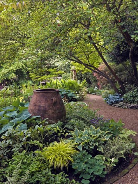 Lobelia Cardinalis, Shade Garden Design, Hgtv Garden, Shade Garden Plants, Thriving Garden, The Secret Garden, Garden Pictures, Woodland Garden, Garden Photos