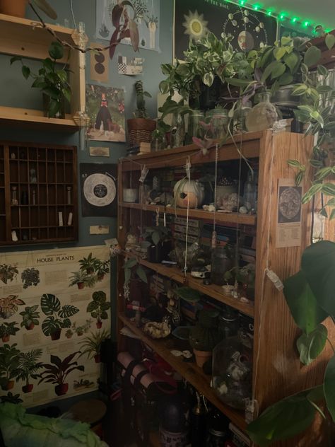 Hanging Plant Room Decor, Goblin Bedroom Aesthetic, Earthcore Aesthetic Bedroom, Forest Bedroom Aesthetic Grunge, Nature Like Bedroom, Crowcore Room Ideas, Botany Aesthetic Bedroom, Goblincore Bedroom Grunge, Adventure Core Aesthetic Room