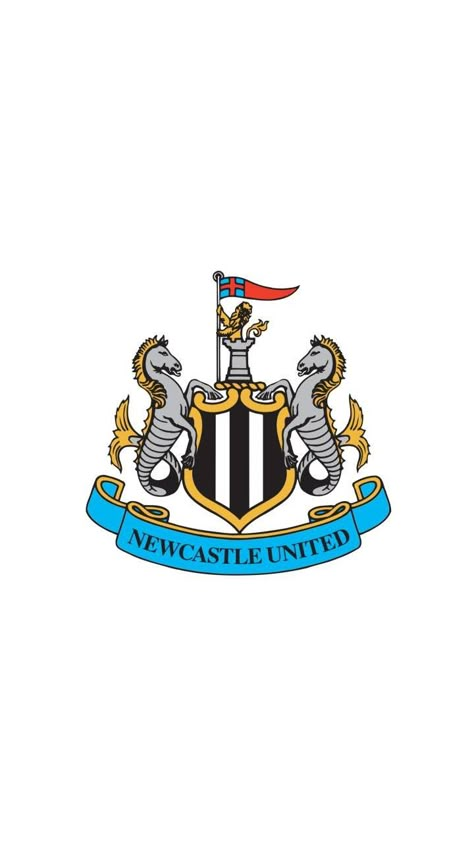 NEW CASTLE UNITED New Castle United Fc Logo, New Castle United Fc, Newcastle United Logo, Happy 19 Birthday To Me, Newcastle United Football, Chelsea Soccer, Happy 19th Birthday, Memphis Depay, St James Park