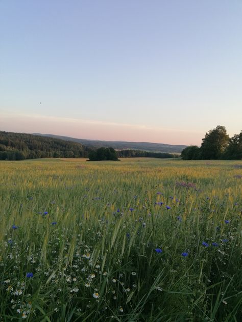 Rhett Eaton, Summer Hamilton, Elsie Silver, Grassy Field, Grass Field, Pretty Landscapes, Family Road Trips, Spring Aesthetic, Carbon Footprint