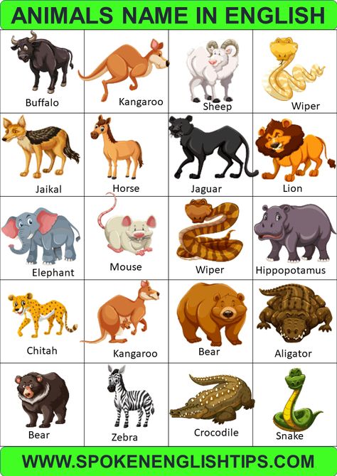 Animals Name in English | Types of Animals with pictures, List of Animals Animal Species Chart, Land Animals Pictures, Types Of Animals Chart, Land Animals Chart, Animals Name With Picture, Animals Chart, Animal Chart, Hindi Calligraphy Fonts, English Animals