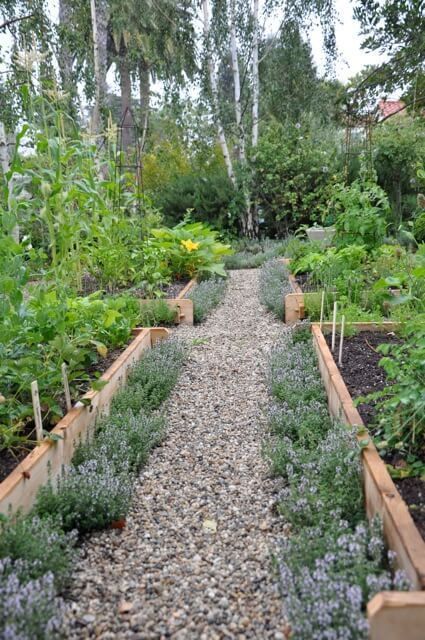 Planter Design Ideas, Edging Plants, Vertical Vegetable Garden, Potager Garden, Cottage Garden Design, Planter Design, Garden Types, Veg Garden, Vegetable Garden Design