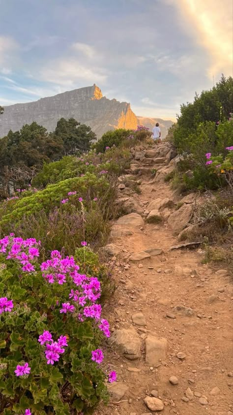 Cape town south africa travel sunset hike lions head table mountain Cape Town South Africa Travel, South Africa Vacation, Table Mountain Cape Town, South Africa Photography, Africa Vacation, Lions Head, Happy Mind, Africa Do Sul, South Africa Travel