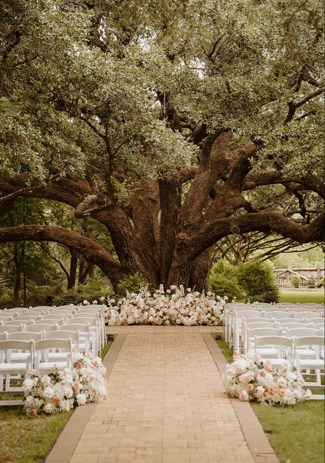 Wedding Ceremony Ideas Simple, Getting Married Under A Tree, Laid Back Outdoor Wedding, Gorgeous Wedding Venues Outside, Plant Wedding Aesthetic, Under Tree Ceremony, Wedding Ideas Spring Outdoor, Outdoor Wedding White Flowers, Wedding Venue Willow Tree