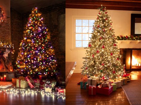 Christmas With Colored Lights, White Or Colored Christmas Tree Lights, Multicolor Christmas Tree Lights, Mixed Lights Christmas Tree, Christmas Tree With White And Colored Lights, Traditional Christmas Tree With Colored Lights, Colored And White Lights On Tree, Coloured Lights Christmas Tree, Coloured Christmas Tree Lights