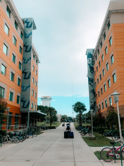 University Of South Florida Aesthetic, Usf Aesthetic, College Life Aesthetic, Beach College, College Collage, Book Vibe, Move In Day, Florida College, Usf Bulls