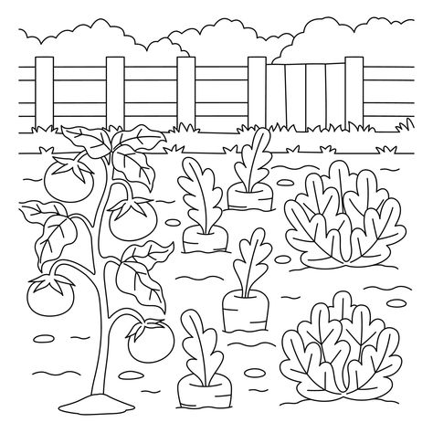 Lettuce Farm, Nursery Drawings, Letter A Coloring Pages, Vegetable Farm, Vegetable Coloring Pages, Farm Coloring Pages, Garden Coloring Pages, Garden Coloring, Vegetable Farming