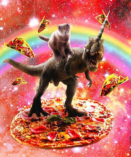 Taco Poster, Taco Burrito, Hipster Gifts, Poster Space, Pizza Taco, Dinosaur Posters, Galaxy Cat, Silly Cats Pictures, Galaxy Design