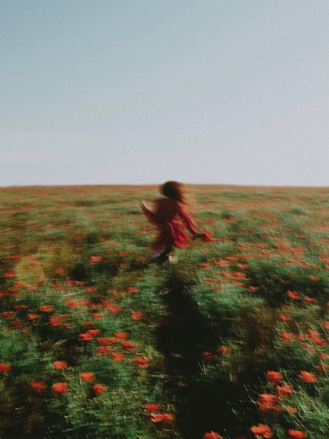 Blurred Photo of Woman in Red Running Through Poppy Field · Free Stock Photo Running Through A Field, Wit And Delight, Blur Photo, Motion Blur, Poppy Field, Cinematic Photography, Photos Of Women, 인물 사진, Flower Field