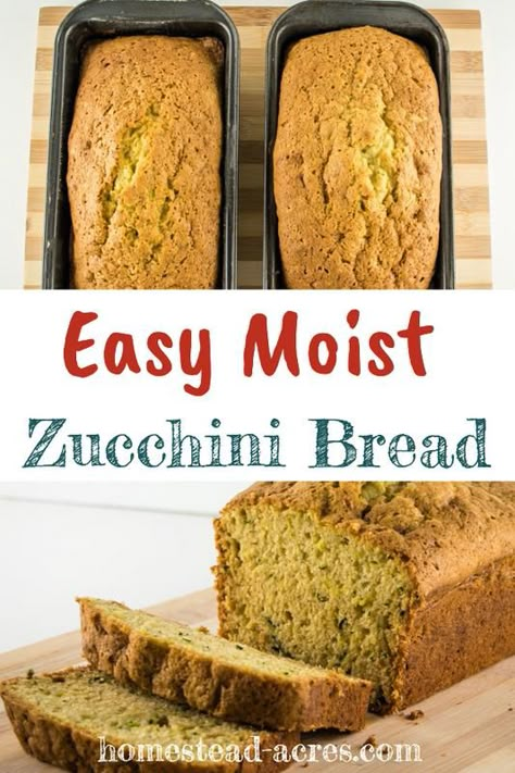 Make My Own Bread, Zucchini Bread Easy, Frozen Zucchini, Make Bread At Home, Easy Zucchini Bread Recipes, Moist Zucchini Bread, Easy Zucchini Bread, Best Zucchini Bread, Zucchini Bread Recipe