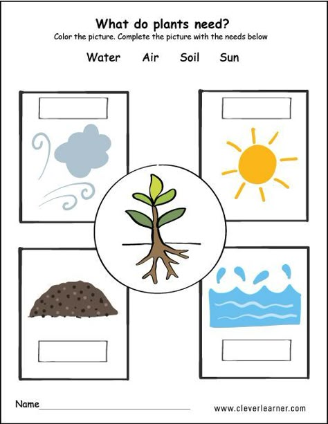 Plants need water air, soil and air kids دورة حياة النبات, Plants Kindergarten, Plant Lessons, Plants Worksheets, Living And Nonliving, Planting For Kids, Plant Activities, Kid Science, Plant Crafts