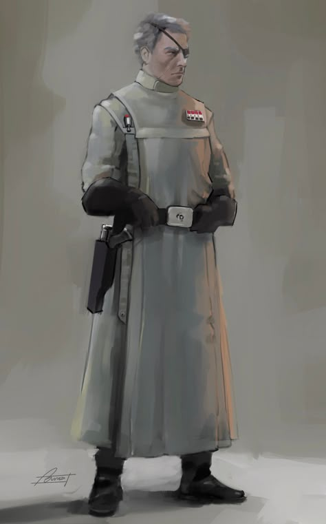 Concept art form (comic) for a Star Wars character. Star Wars Canvas Art, Star Wars Character Art, Imperial Officer, Edge Of The Empire, Star Wars Painting, Star Wars Trooper, Star Wars Characters Pictures, Star Wars Concept Art, Star Wars Empire