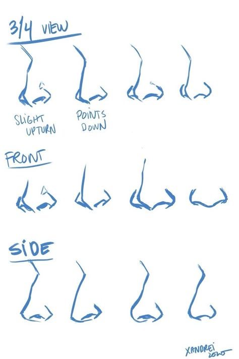 Nose Drawing, Body Drawing Tutorial, Drawing Help, Human Anatomy Art, Body Reference Drawing, Drawing Expressions, Art Help, Drawing Refs, Body Drawing