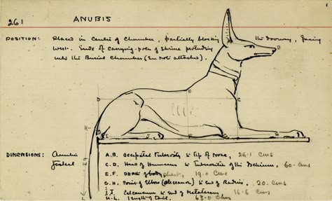 A Look Inside Howard Carter's Tutankhamun Diary | History | Smithsonian Howard Carter Tutankhamun, Archeology Notes, Archaeologists Aesthetic, Egyptology Aesthetic, Archaeologist Aesthetic, Archeology Aesthetic, Adventurer Aesthetic, King Tut Tomb, Howard Carter