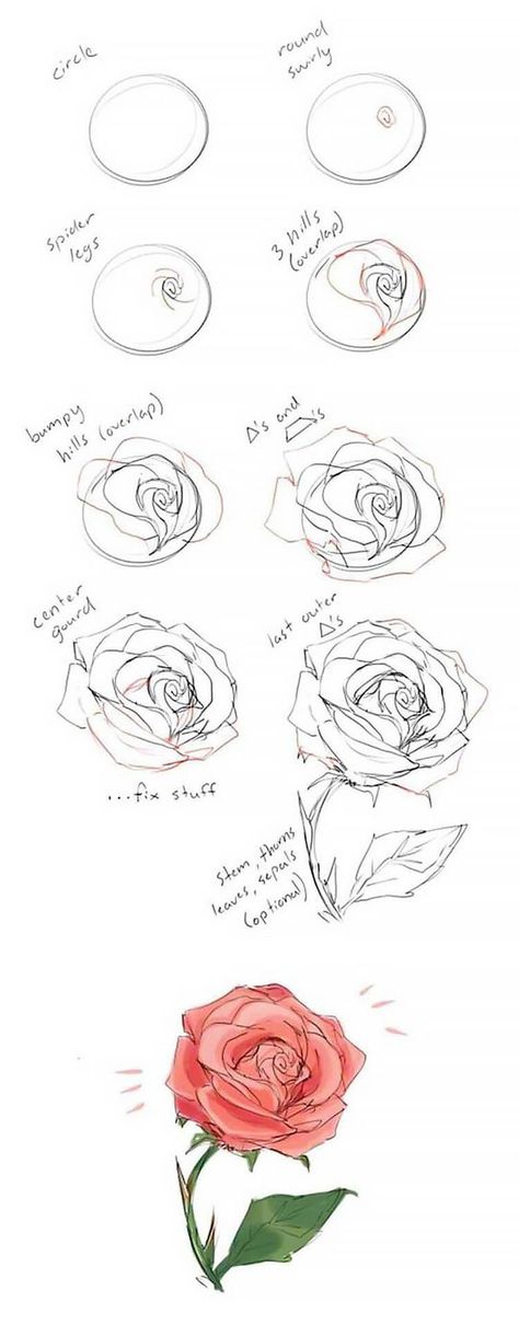 Ako Kresliť, Illustration Rose, Couple Drawing, Rose Tutorial, Wall Art Crafts, Drawing Faces, Cool Wall Art, Guided Drawing, Flower Doodles