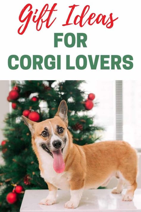 Best Corgi Gifts | Gift Ideas for Corgi Lovers | Corgi Gifts For Her #doglovers #christmasgifts #giftguide Corgi Gift Ideas, Gifts For Older Women, Corgi Mug, Corgi Gifts, Corgi Christmas, Corgi Mom, Sloth Gift, Succulent Gifts, Fathers Day Presents