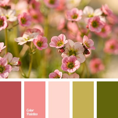 color of olives, dark marsh colour, khaki color, light olive color, light pink shades, maroon color, marshy green shades, pale pink color, pastel colors matching, vintage colors. In Color Balance, Flat Bedroom, Color Schemes Colour Palettes, Color Palette Ideas, Palette Ideas, Color Palate, Design Seeds, Color Balance, Color Palette Design