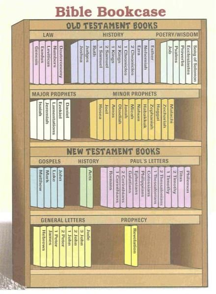 Bible Bookshelf and Reference Books | Pressing On Bible Kjv, Bible Study Plans, Bible Study Methods, Bible Study Tips, Bible Study Notebook, Bible Study Tools, Bible Notes, Bible Study Notes, Bible Facts