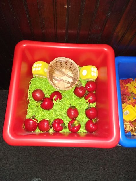 I added two foam dice; a small basket; plastic tongs; a bag of green, shredded, crinkle paper; and 12 styrofoam apples. Then, I put them into my sensory table, but that can be substituted for a small tote. 

Your child can have hours of fun while they practice a variety of skills, such as counting, sorting, fine motor, gross motor, and language. Sensory Table, Crinkle Paper, Small Basket, Sensory Bin, Apple Picking, Gross Motor, Sensory Bins, Small Tote, Tongs