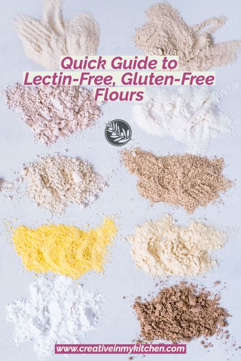 This is a quick guide to over 20 lectin-free, gluten-free flours: what are they, where to find them, and how to cook with them. #lectinfree #glutenfree Drake Kitchen, Lectin Foods, Fmd Diet, Dr Grundy, Dr Gundry Recipes, Gundry Recipes, Lectin Free Foods, Plant Paradox Recipes, Lectin Free Recipes