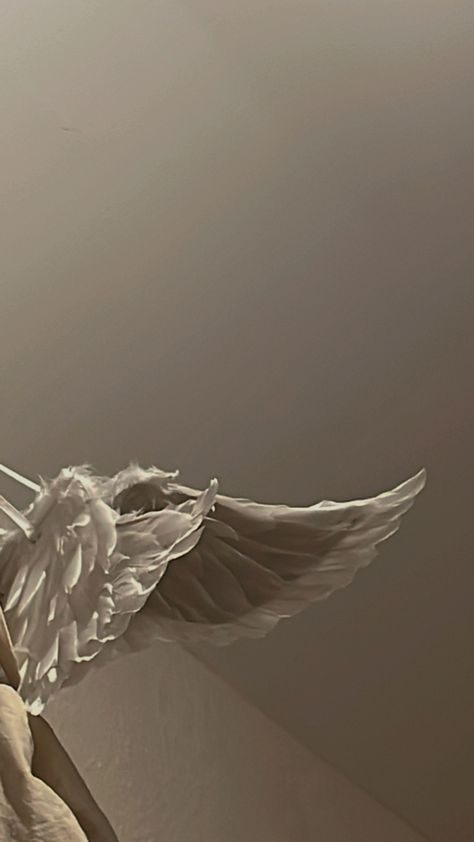 Angel wings, cute wings, aesthetics, white wings, cherub wings Angle Wings Aesthetic, Angle Aethstetic, Wing Astethic, Angelic Wallpapers, Wings Aesthetic Angel, Angels Wings Wallpaper, White Wing Aesthetic, Angel Astethics, Heaven Aesthetic White