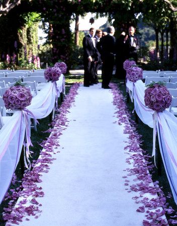 ...in a church and probably not purple but BEAUTIFUL Aisle Decor, Lavender Wedding, Wedding Aisle, Ceremony Decorations, Wedding Planners, Purple Wedding, Wedding Themes, Wedding Wire, Rose Petals