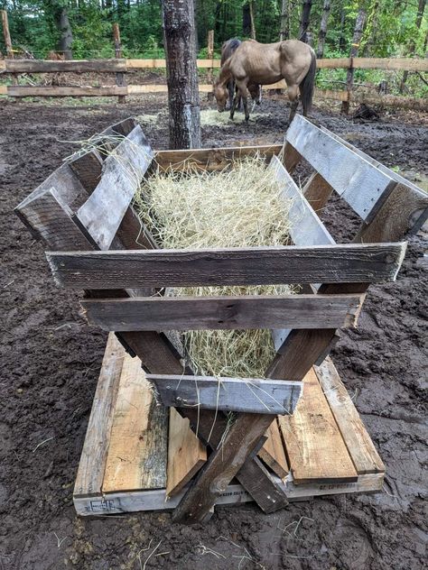 Wooden pallets constructed in a V shape to hold hay. Pallet Hay Feeder Goats, Horse Hay Feeder Diy, Pallet Hay Feeder, Pallet Shelter, Cow Stanchion, Diy Hay Feeder, Cow Shed Design, Round Bale Feeder, Goat Hay Feeder