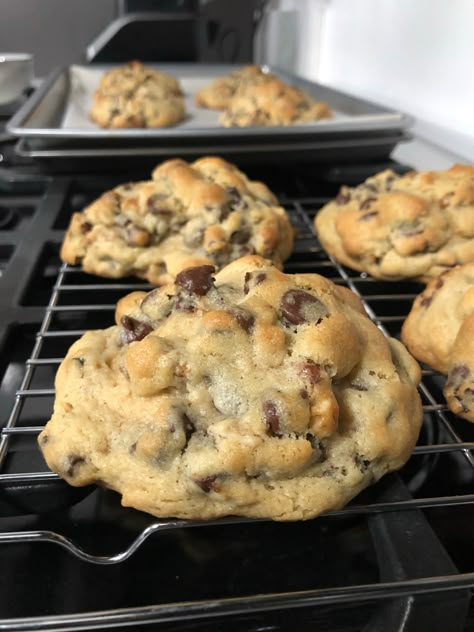 The Best Chocolate Chip Walnut Cookies – Catching Up With Nkechi Royal Cookies Recipe, Walnut Chocolate Chip Cookies, Walnut Cookie Recipes, Chocolate Chip Walnut Cookies, Gooey Cookies, Walnut Recipes, Walnut Cookies, Best Chocolate Chip, Choc Chip Cookies