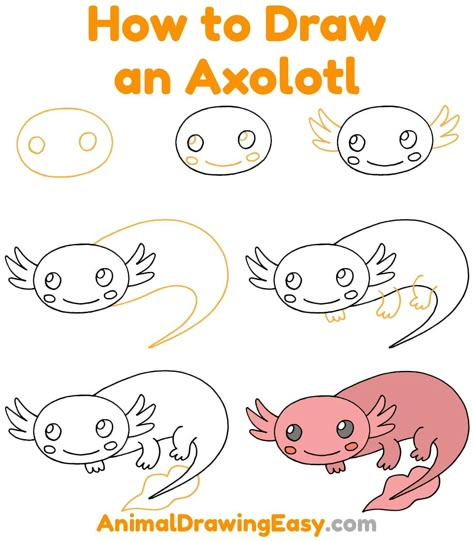 How to Draw an Axolotl Step by Step #Axolotl #CuteAxolotl #CartoonAxolotl #EasyAxolotlDrawing #EasyDrawings #EasyDraw #AxolotlDrawingTutorial #AxolotlDrawings #AxolotlSketch #AxolotlCartoon #AxolotlArt #AmphibianDrawings Axolotl Drawing Tutorial, Axolotl Girl Scouts, How To Draw Axolotl Easy, How To Draw An Axolotl Step By Step, Axolotl Art Project, Easy Axolotl Drawing, Axolotl Cartoon Drawing, Clay Axolotl Tutorial, Axolotl Craft Ideas