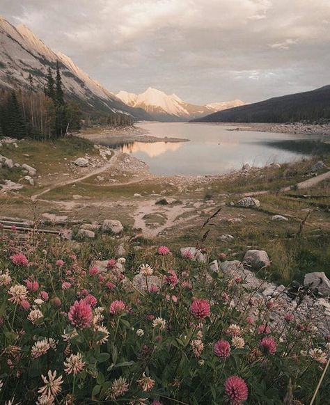 Time to run in the wildflowers swim in the lakes and climb up the mountains! Photo by @monascherie #MyJasper Jasper Canada, Time To Run, 심플한 그림, Instagram Time, Nature Aesthetic, The Nature, Pics Art, Photography Nature, Pretty Places