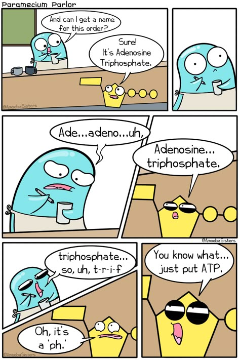 #atp #science #biology #comic #cartoon #amoebasisters Biology Memes Humor, Biology Jokes Science Humor, Biology Funny Science Jokes, Biology Comics, Atp Biology, Science Humor Biology, Science Humour, Amoeba Sisters, Biology Jokes