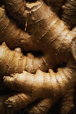 12390 stock photo and video results for 'ginger ' Ginger Roots, Vegetable Pictures, Ginger Flower, Wild Ginger, Flower Close Up, Dry Ginger, Feminine Health, Historical Artwork, Naturopathy