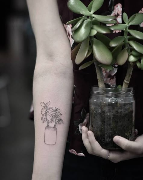 Jade plant tattoo on the inner forearm. Jade Tattoo Plant, Jade Plant Tattoo Ideas, Indoor Plant Tattoo Sleeve, Jade Flower Tattoo, Wrist Plant Tattoo, Jade Tattoo Ideas, Zz Plant Tattoo, Tattoo Idea For Friends, Jade Plant Tattoo