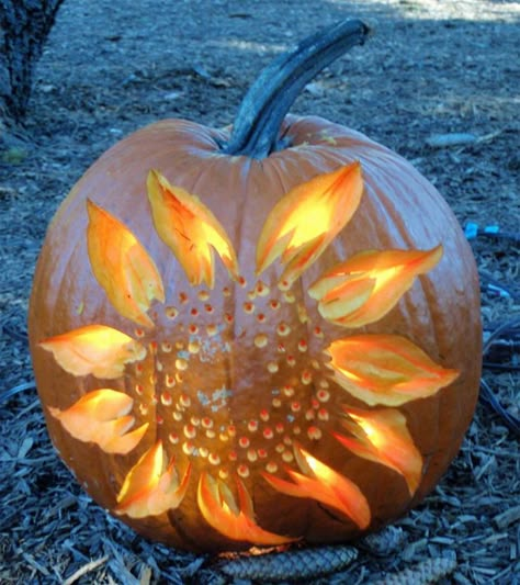 Cool Pumpkin Designs, Unique Pumpkin Carving Ideas, Pumkin Decoration, Cute Pumpkin Carving, Creative Pumpkin Decorating, Pumkin Carving, Pumpkin Carving Party, Creative Pumpkin Carving, Pumpkin Carving Designs