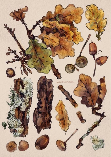 Fall Tree Sketch, Watercolor Oak Leaves, Autumn Plants Illustration, Forestcore Drawing, Autumn Botanical Illustration, Oak Leaves Drawing, Forest Illustration Trees, Oak Tree Aesthetic, Vintage Autumn Illustration