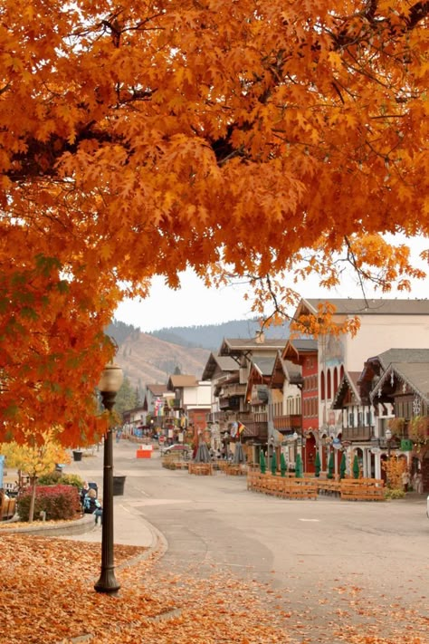 Autumn In Washington State, Washington Fall Aesthetic, Fall In Washington State, Leavenworth Washington Fall, Washington State Fall, Washington Leavenworth, Fall In Tennessee, Aesthetic Fall Photos, Washington Fall