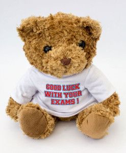 Good Luck With Your Exams Teddy Bear Sorry Wallpaper, Flag Of England, Garden Flags Ideas, St George Flag, Sorry Images, St Georges Day, Call Grandma, Monkey Stuffed Animal, Teddy Bear Gifts