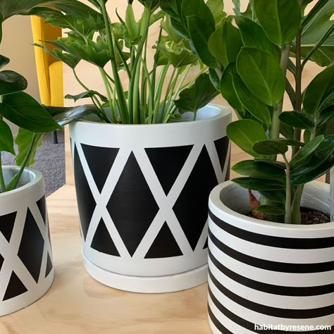 Pot Planting Ideas, Pot Plants Indoor, Pot Plant Ideas, Paint Garden Pots, Outdoor Potted Plants, Potting Plants, Indoor Potted Plants, Plant Decor Ideas, Terra Cotta Pot Crafts Diy