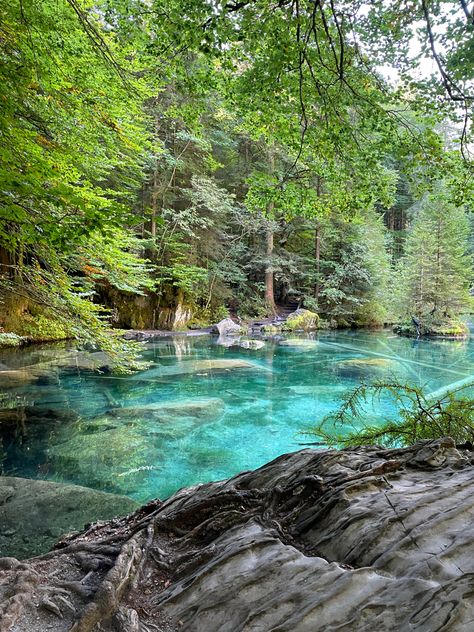 Visited Blausee in Kandersteg. #switzerland #lake #nature Lake In Switzerland, Lake Blausee Switzerland, Kandersteg Switzerland, Blausee Switzerland, Hike Aesthetic, Switzerland Lake, Switzerland Summer, Trout Farm, Swiss Travel Pass