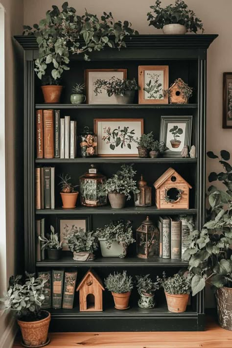 Bookshelves Vintage Aesthetic, Living Room Decor For Shelves, Books Case Aesthetic, Antique Book Shelf Ideas, Home Bookshelf Ideas, Bookcase In Entryway, Dark Academia With Plants, Forest Green Bookshelf, Romantic Library Aesthetic