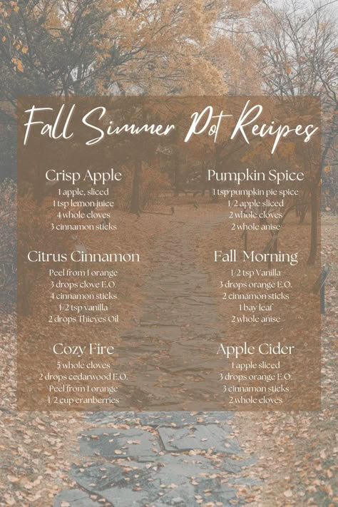 Smell Hacks For Home, Fall Simmer Pot, Home Decor Ideas Fall, Simmer Pots, Stove Top Potpourri, Simmer Pot Recipes, Fall Decor Home, Hacks For Home, Potpourri Recipes