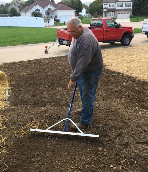 How To Lay Grass Seed, Laying Grass Seed, How To Grow Grass From Dirt Backyards, How To Plant Grass Seed Lawn, Planting Grass Seed In Spring, Grass Seed Tips How To Grow, Best Grass Seed Lawn, Bermuda Grass Seed, Growing Grass From Seed