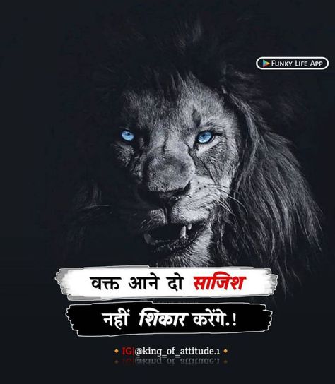 Bhai Attitude Shayari, Jaat Attitude Wallpaper, Attitude Shayari For Girls In Hindi, Attitude Quotes For Girls In Hindi, Attitude Quotes For Boys In Hindi, Attitude Quotes Hindi, Lion Status, Attitude Shayari Hindi, Attitude Status Hindi